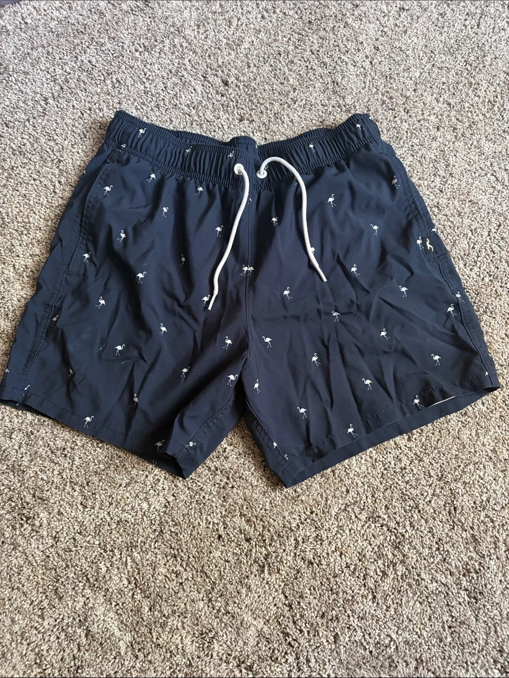 Hollister Men's Medium Swim Trunks